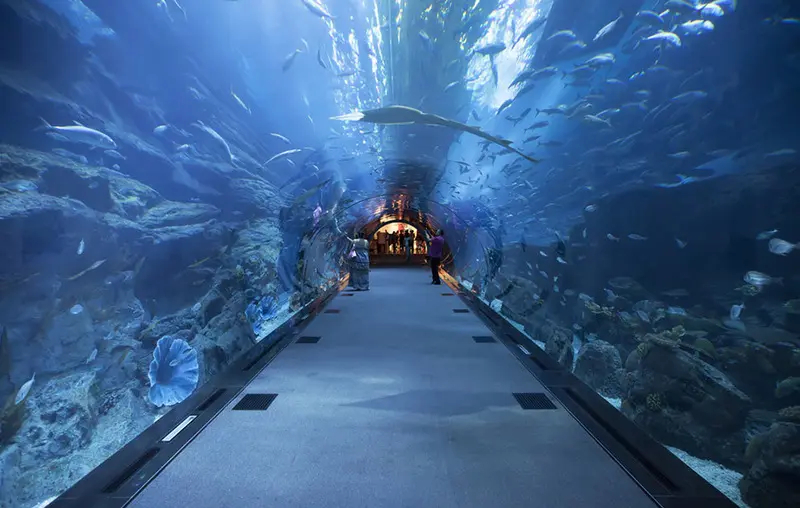 海洋水族馆设计