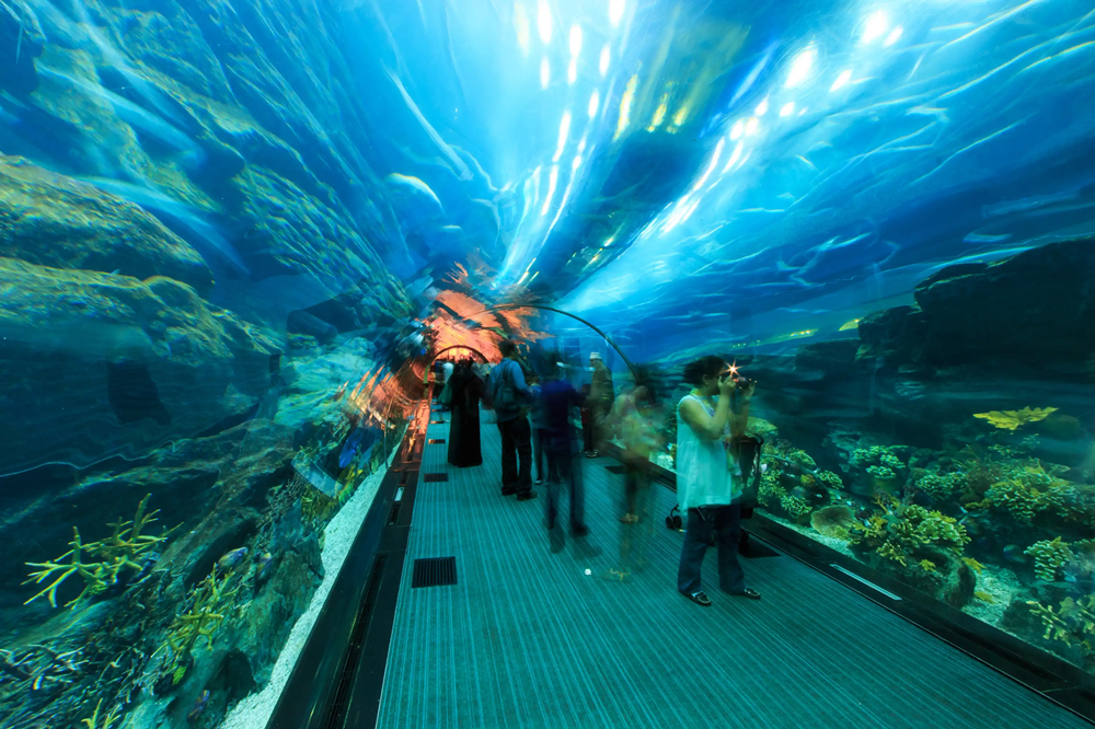 海洋水族馆景观建造