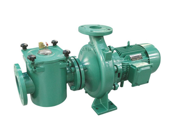 滨特尔大功率泳池水泵