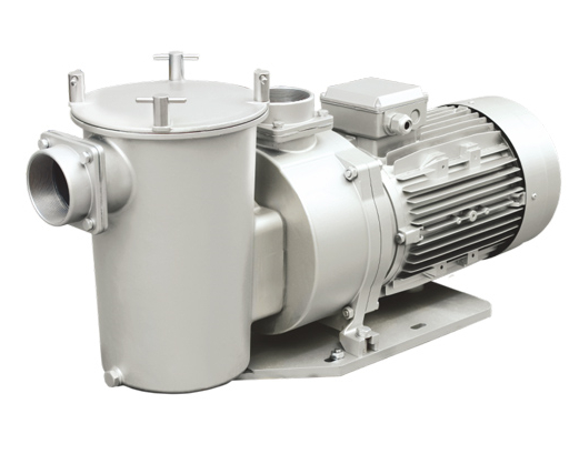 不锈钢泳池水泵EPSS系列