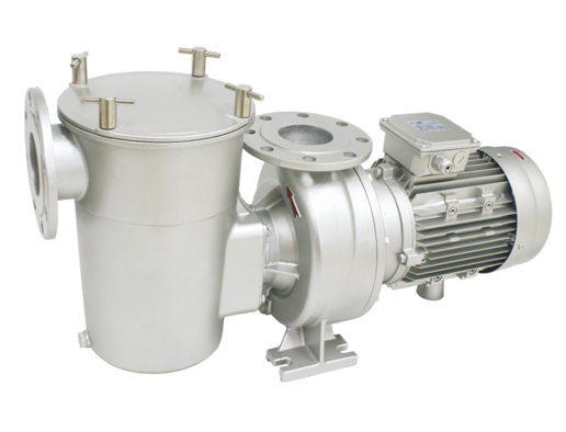 大功率泳池水泵EPS系列